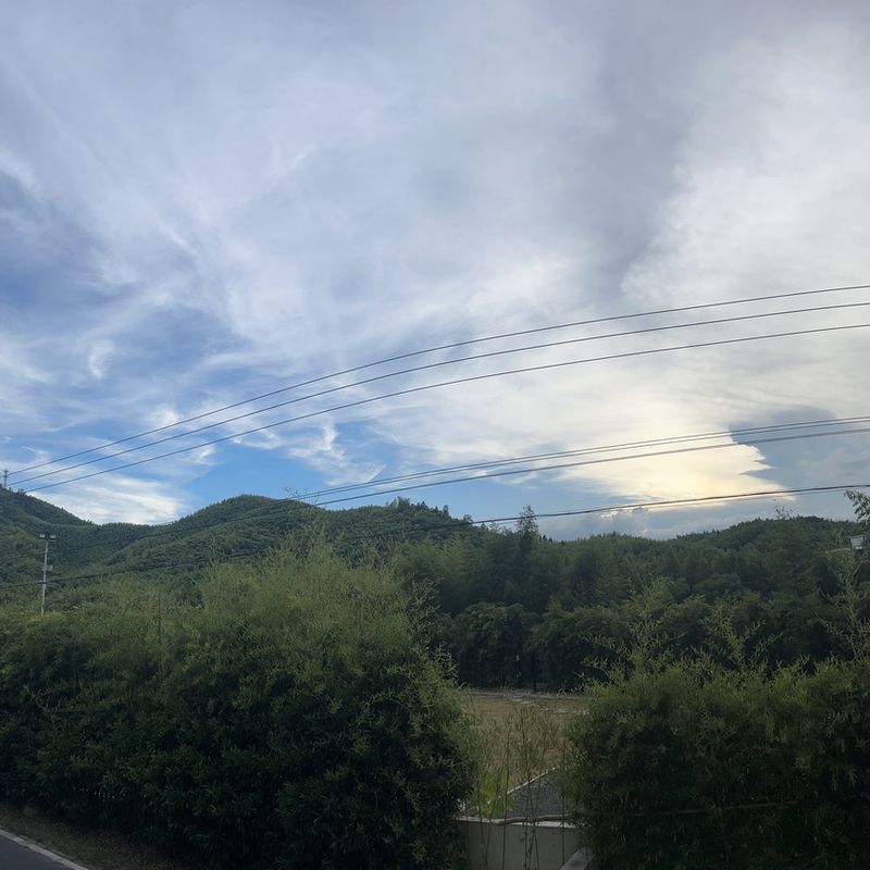 庭院暮色