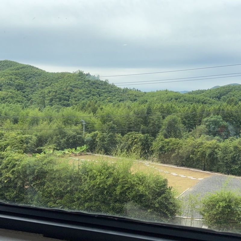 茶烟与山雾